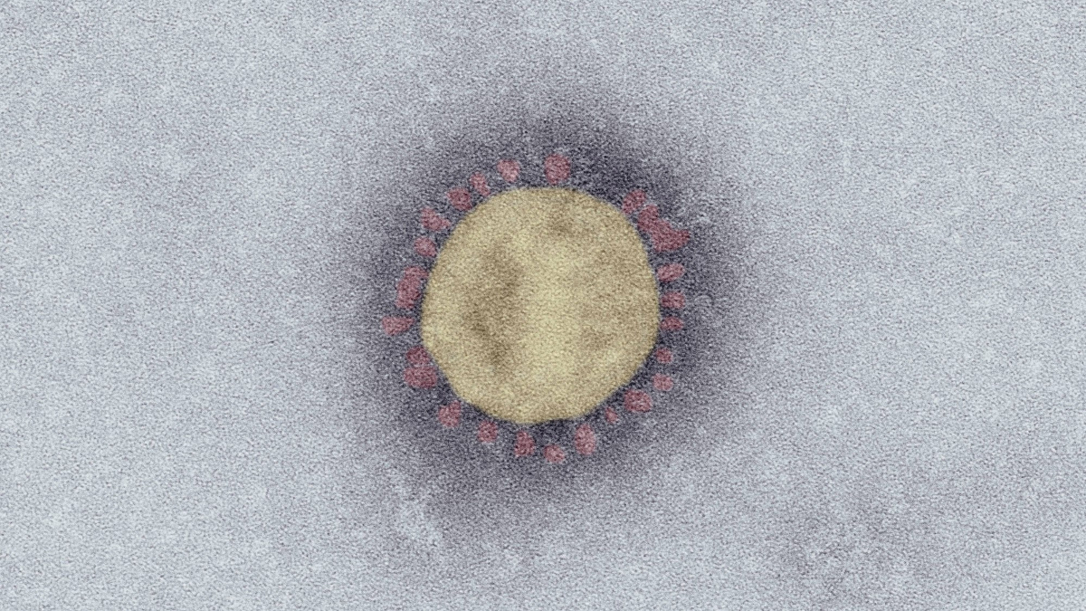 Und an welchem Tag schuf Gott das Virus?