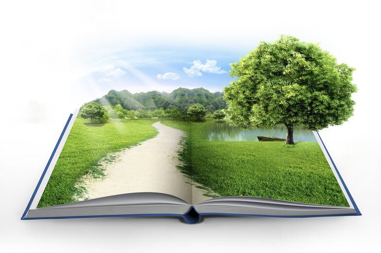Natur Literatur