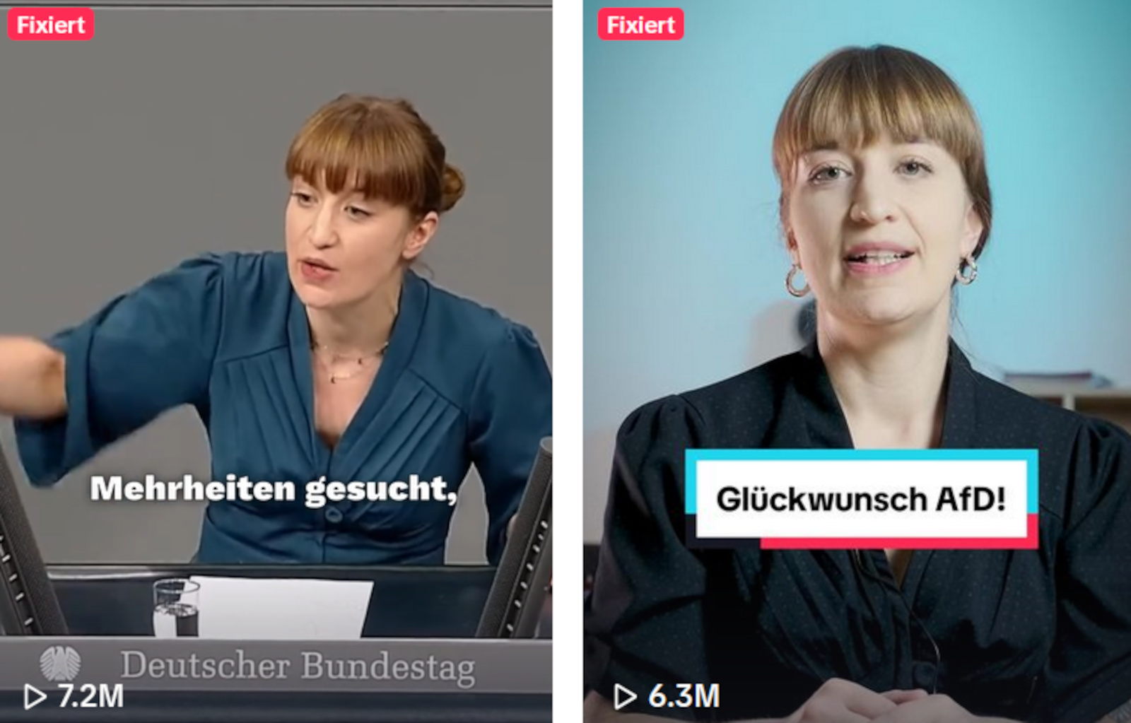 TikTok Heidi Reichinnek